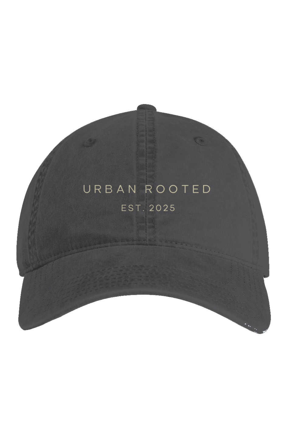 Access Faded Cap