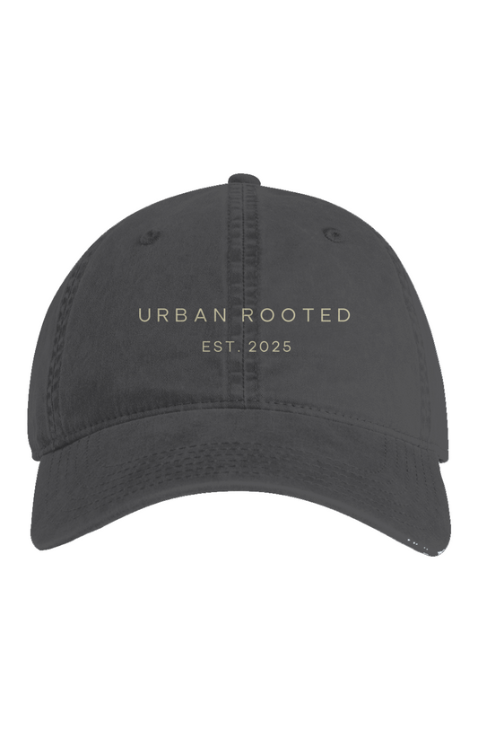 Access Faded Cap