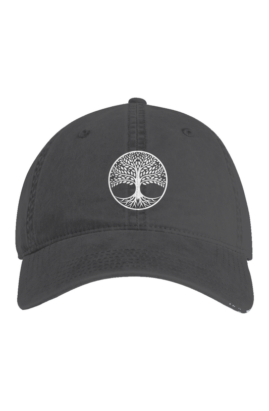 Access Faded Cap