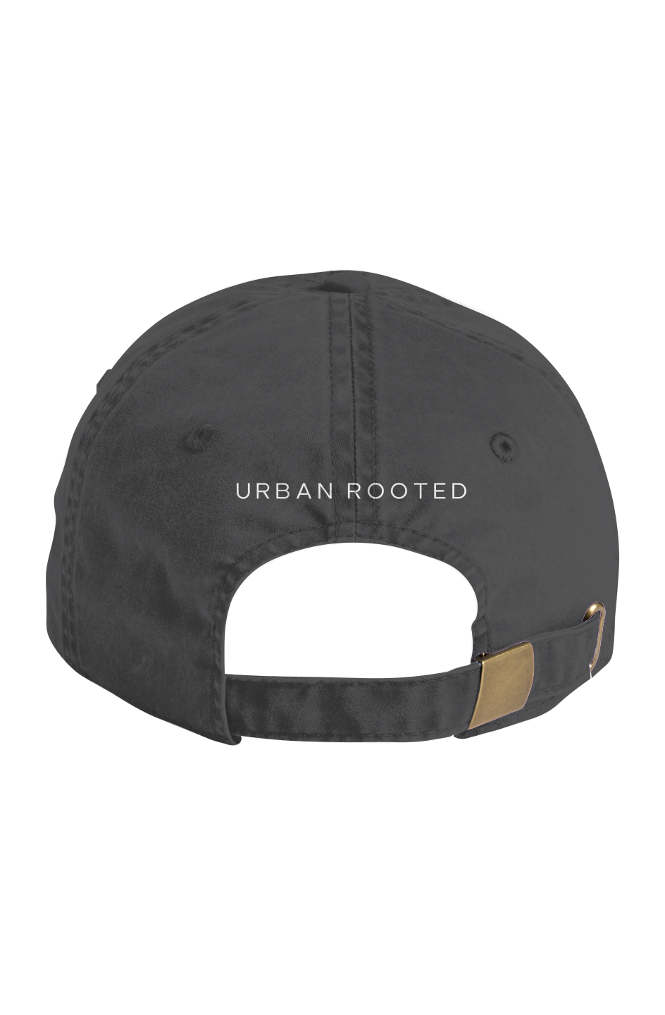 Access Faded Cap